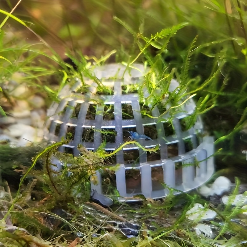 Planted Aquarium Models - 2/4pcs Aquarium Moss Ball Holders Fish
