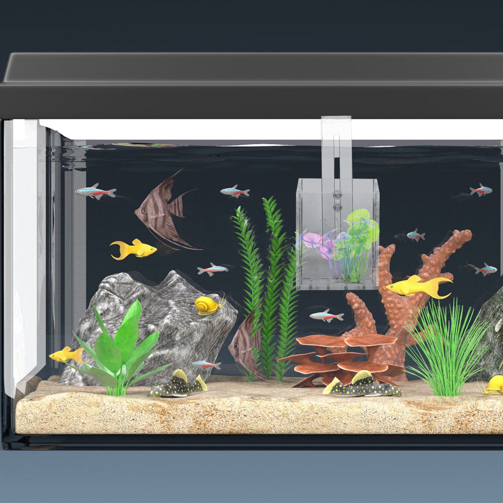 Planted Aquarium Materials - Transparent Water Plant Cup Durable Reusable