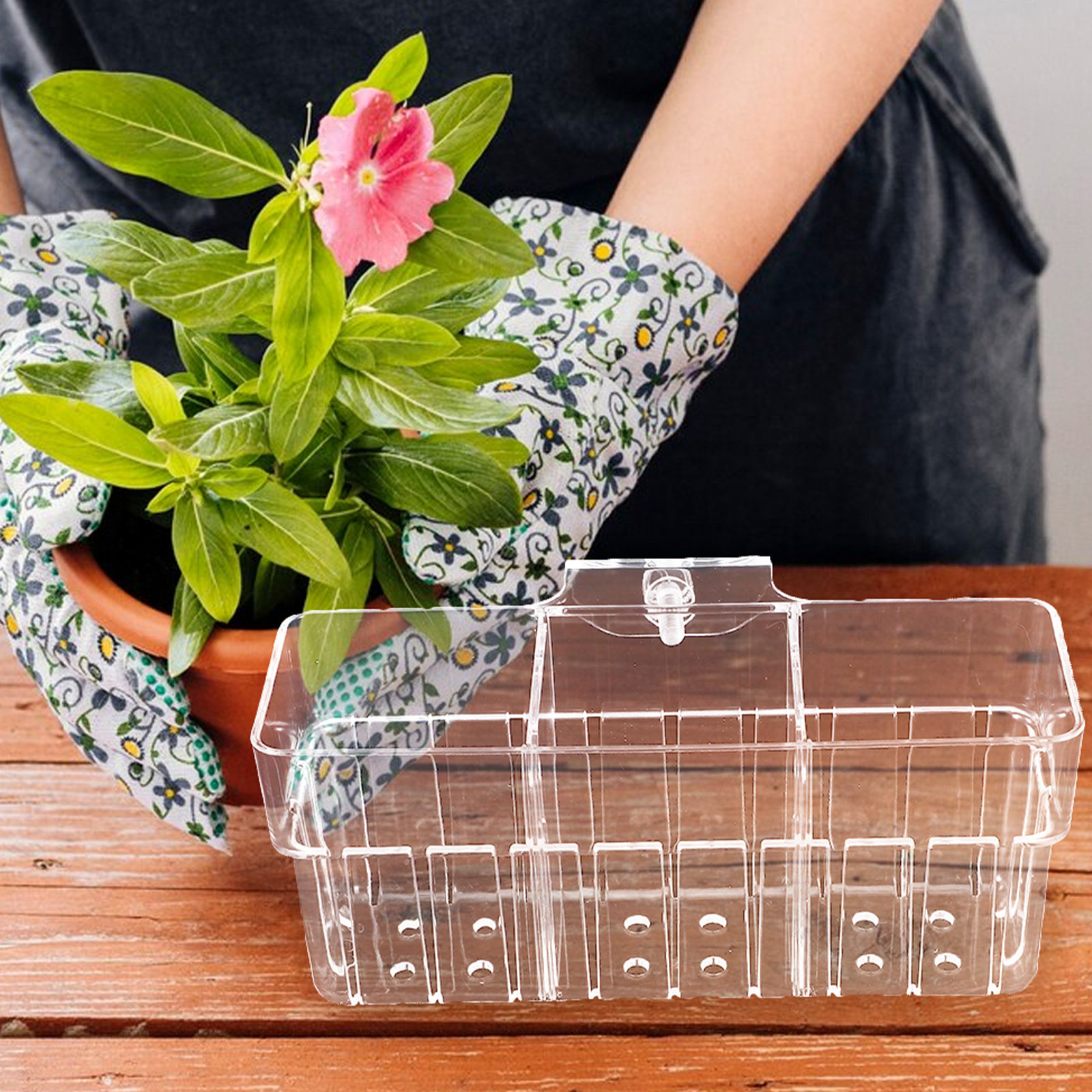 Aquarium Plant Nursery - Three Compartment Transparent Hydroponic Fish Tank