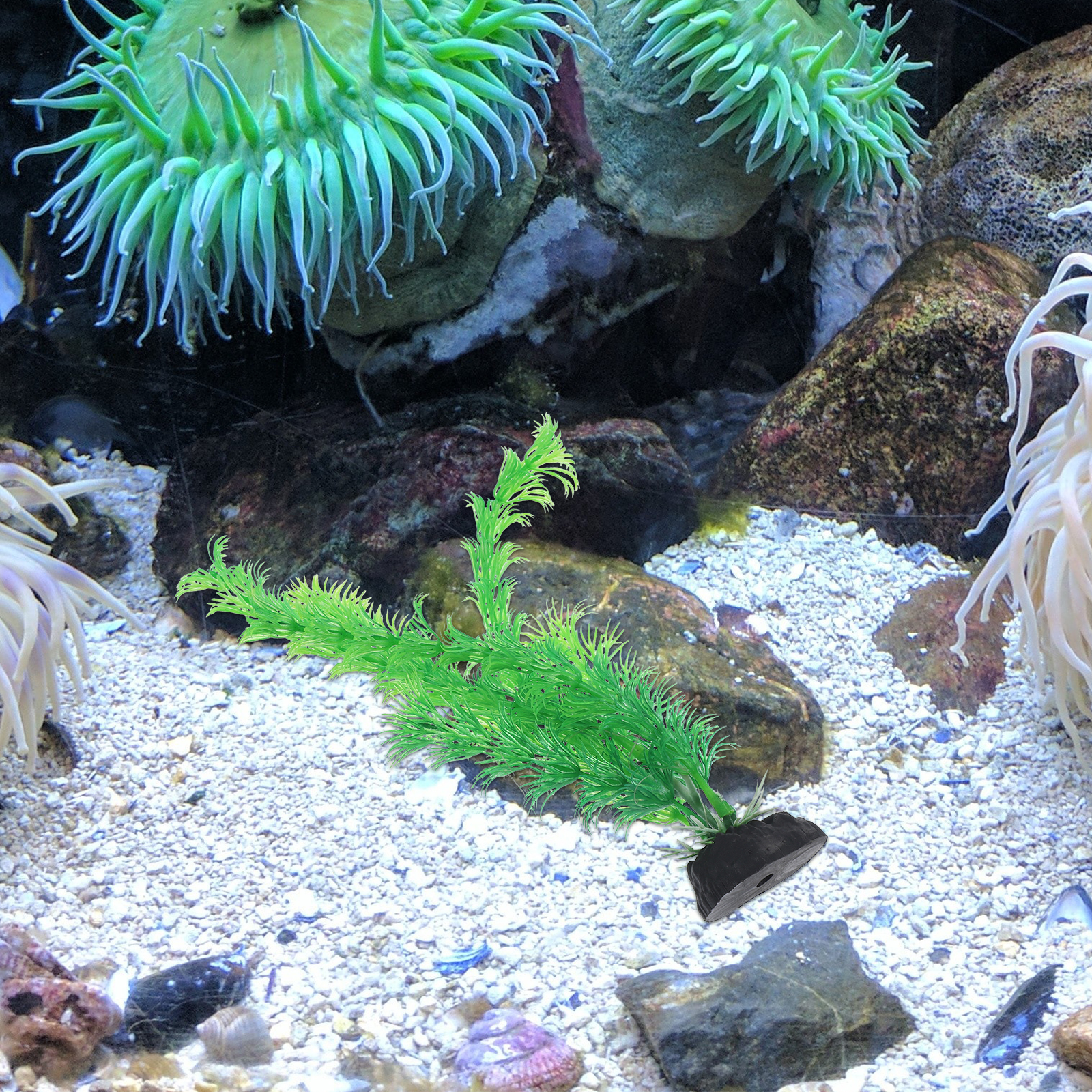 12pcs Plastic Aquarium Plants  - Planted Aquarium Models บทวิจารณ์และราคา