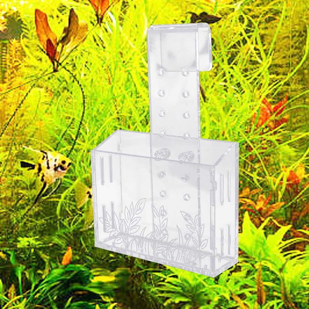 Wall Hanging Aquarium Plants C - Aquarium Planted Wall บทวิจารณ์และราคา