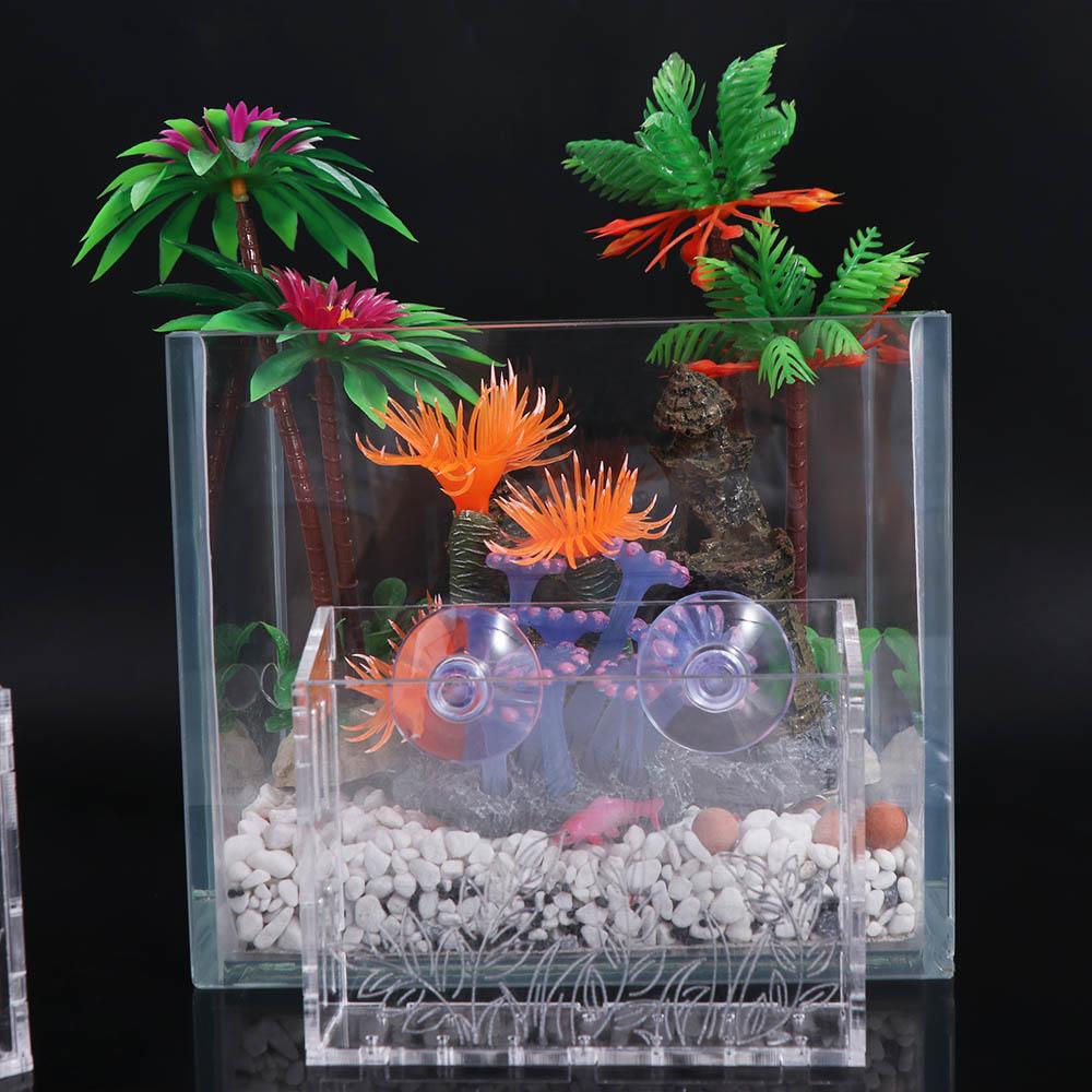 Wall Hanging Aquarium Plants C - Aquarium Planted Wall บทวิจารณ์และราคา