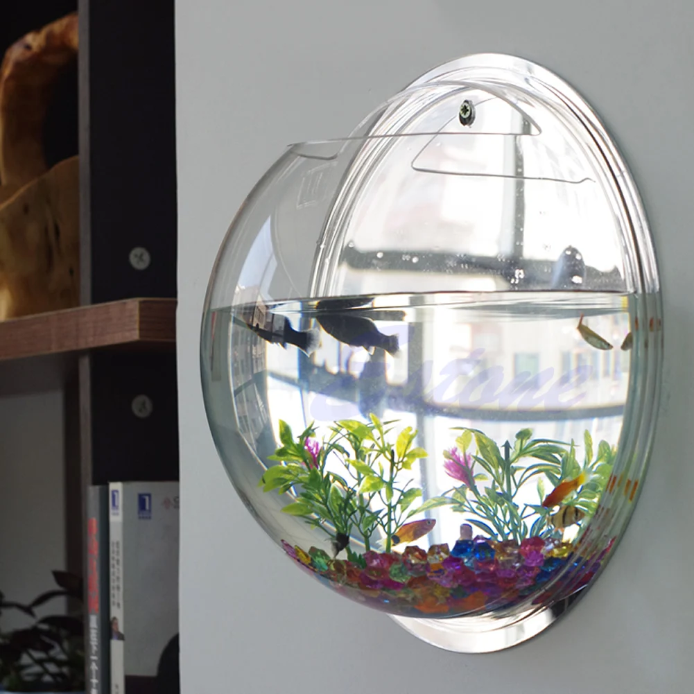 Wall Mounted Acrylic Fish Bowl - Aquarium Planted Wall บทวิจารณ์และราคา