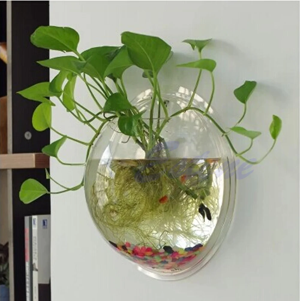 Wall Mounted Acrylic Fish Bowl - Aquarium Planted Wall บทวิจารณ์และราคา