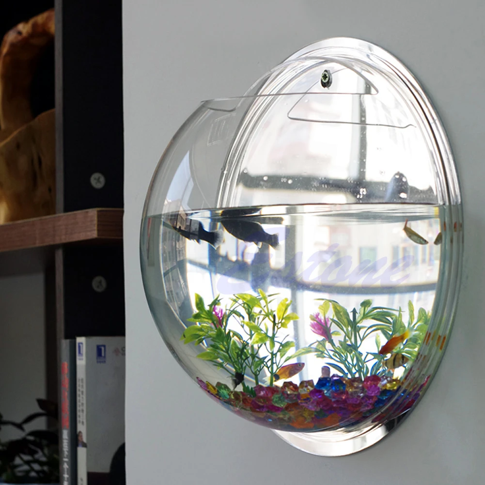 Wall Mounted Acrylic Fish Bowl - Aquarium Planted Wall บทวิจารณ์และราคา