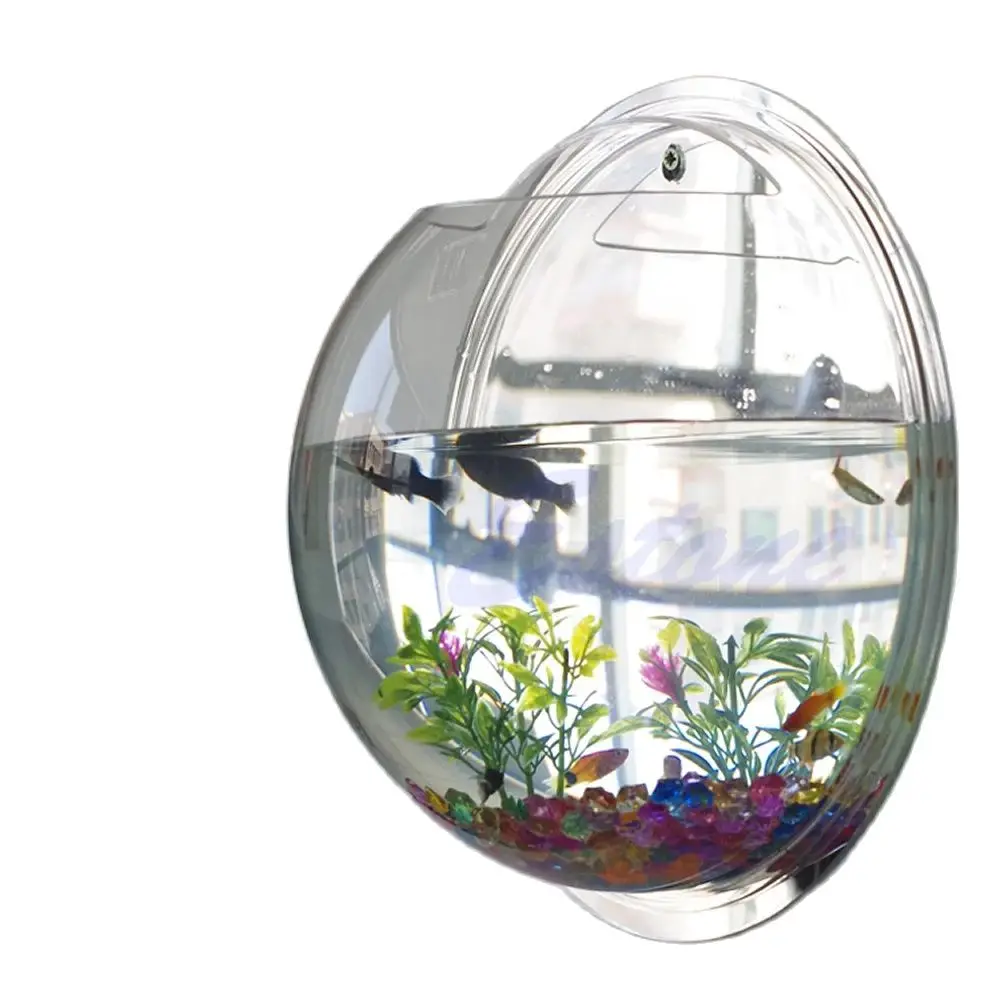 Wall Mounted Acrylic Fish Bowl - Aquarium Planted Wall บทวิจารณ์และราคา