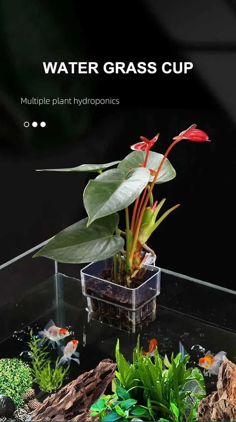 Transparent Aquarium Plant Bas - Aquarium Plant Nursery บทวิจารณ์และราคา