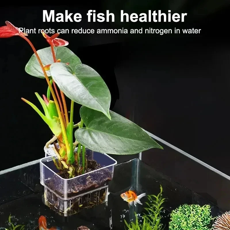 Transparent Aquarium Plant Bas - Aquarium Plant Nursery บทวิจารณ์และราคา