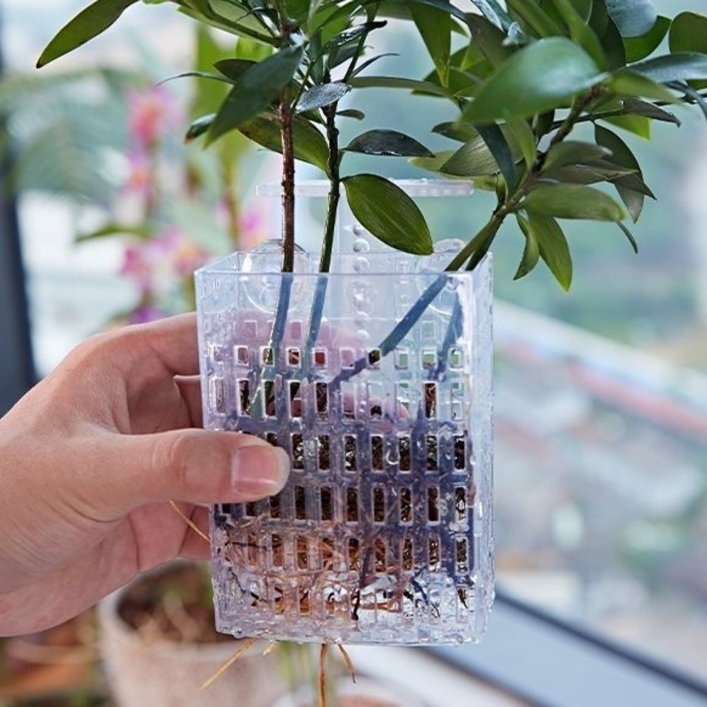 Wall Hanging Aquatic Plant Hol - Aquarium Planted Wall บทวิจารณ์และราคา