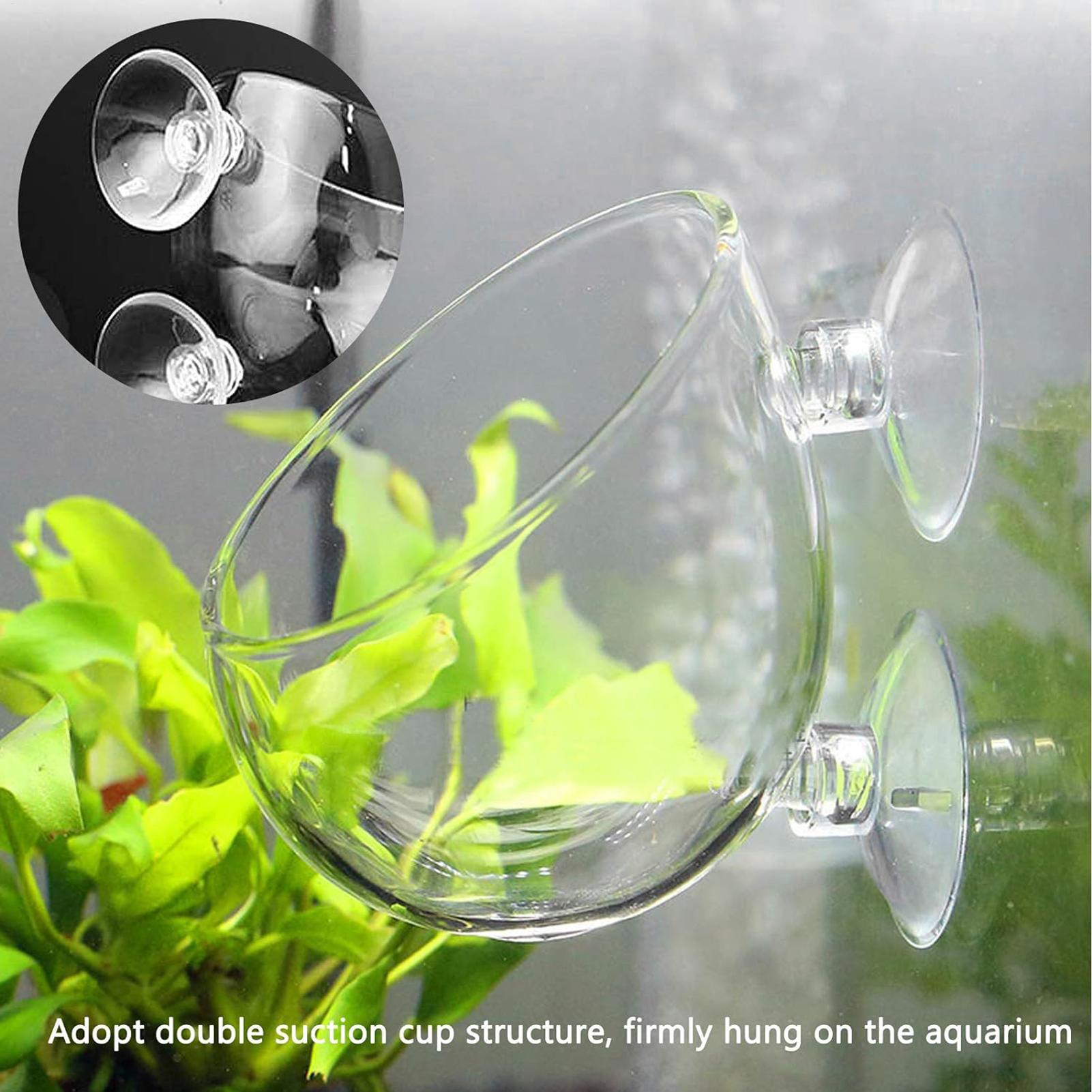 Aquarium Decoration Plant Cup  - Aquarium Plant Nursery บทวิจารณ์และราคา