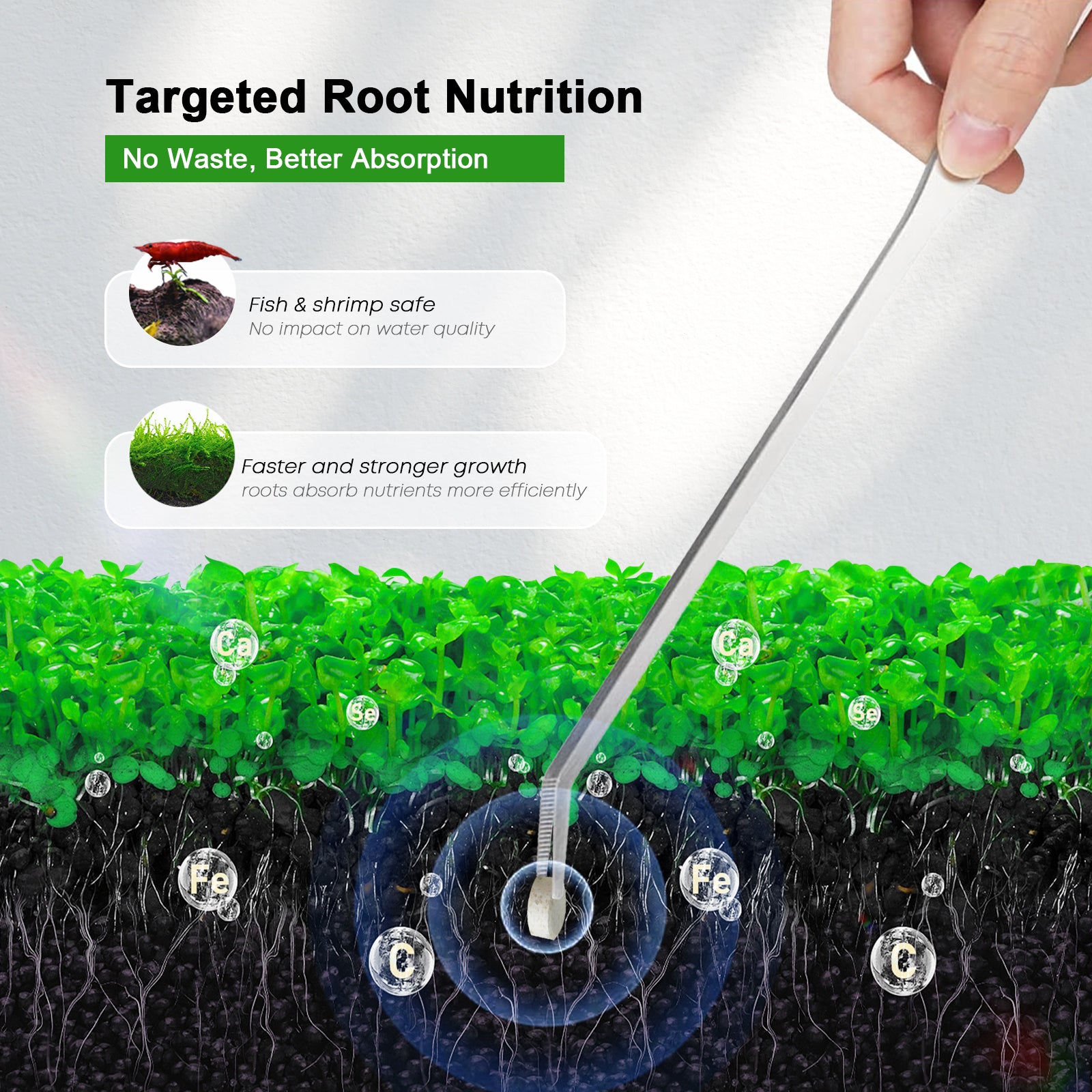 FZONE Aquarium Root Tabs Plant - Aquarium Plant Root Fertilizer บทวิจารณ์และราคา