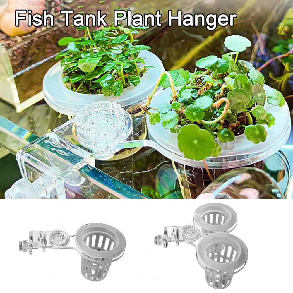 Aquarium Plant Holder Wall-Mou - Aquarium Planted Wall บทวิจารณ์และราคา