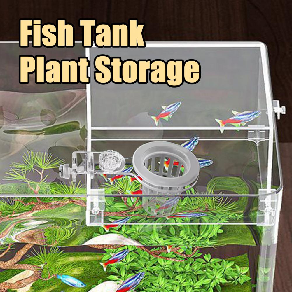 Aquarium Plant Holder Wall-Mou - Aquarium Planted Wall บทวิจารณ์และราคา