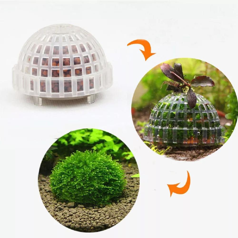 1pc Aquarium Moss Ball Holders - Planted Aquarium Models บทวิจารณ์และราคา
