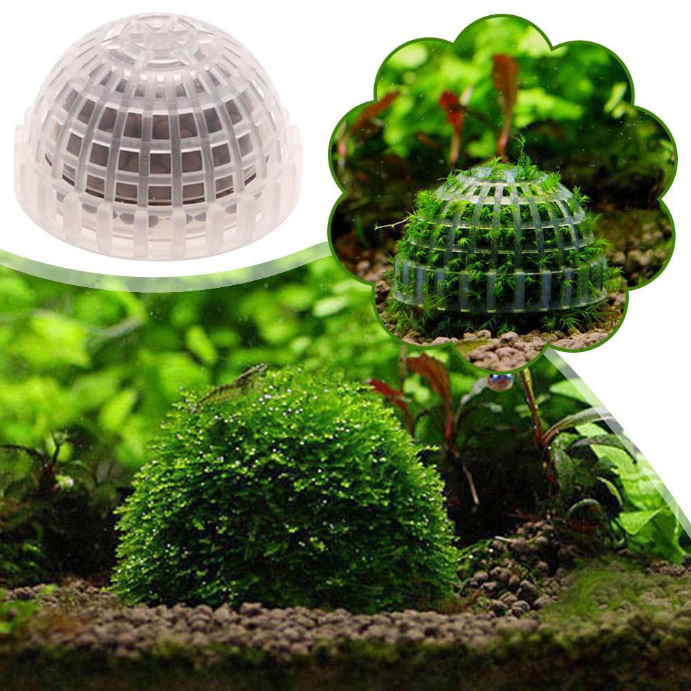 1pc Aquarium Moss Ball Holders - Planted Aquarium Models บทวิจารณ์และราคา