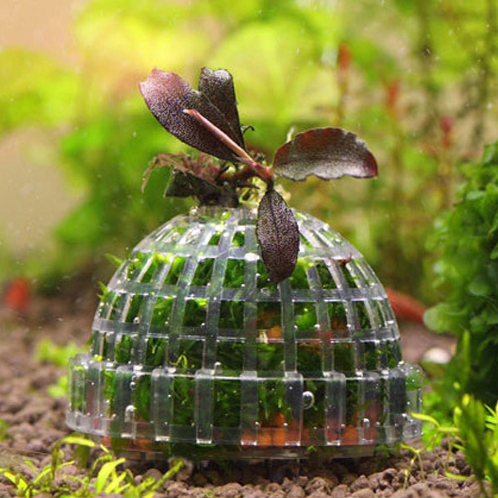 1pc Aquarium Moss Ball Holders - Planted Aquarium Models บทวิจารณ์และราคา