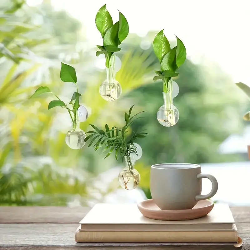 Creative Semi Circular Class W - Aquarium Planted Wall บทวิจารณ์และราคา