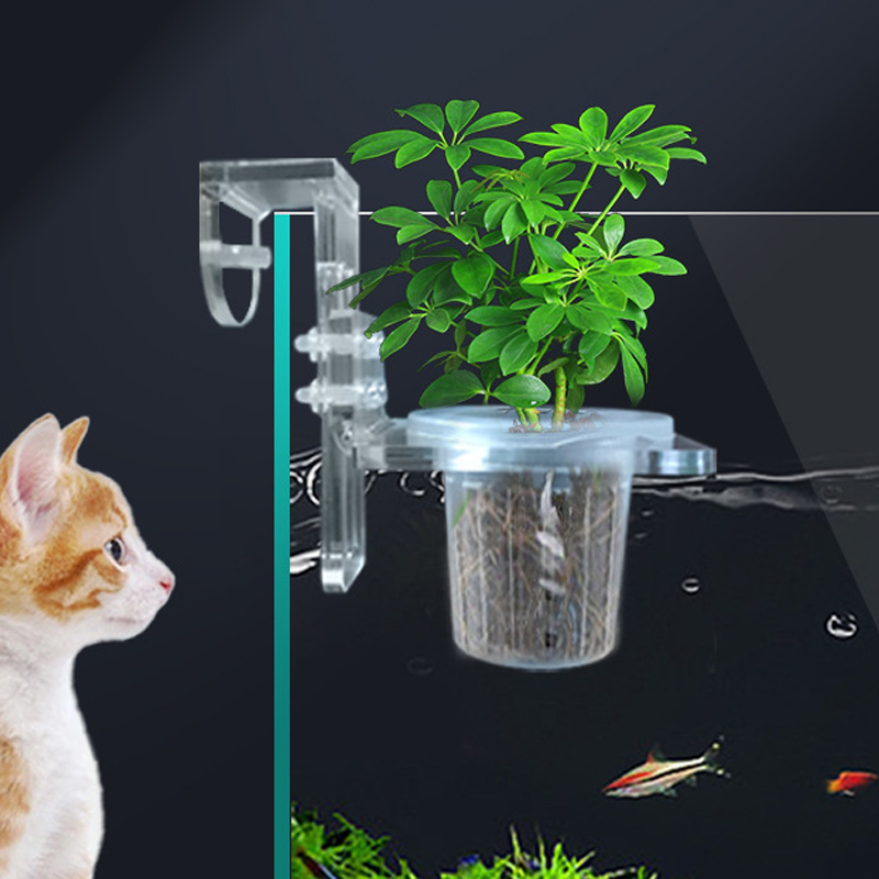 Fish Tank Planting Cups Hydrop - Aquarium Planted Wall บทวิจารณ์และราคา