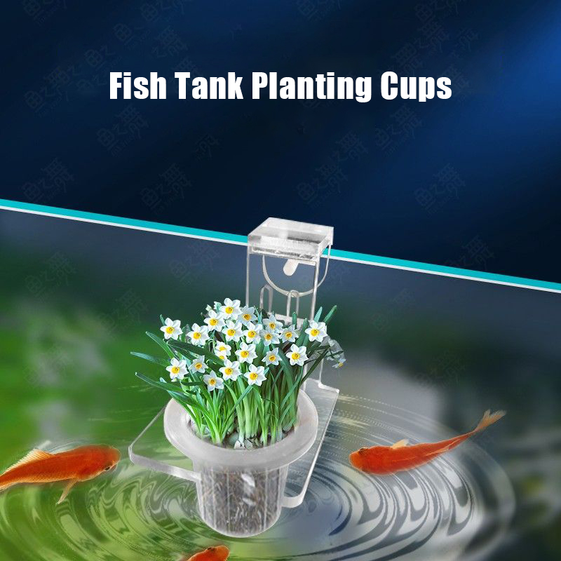 Fish Tank Planting Cups Hydrop - Aquarium Planted Wall บทวิจารณ์และราคา
