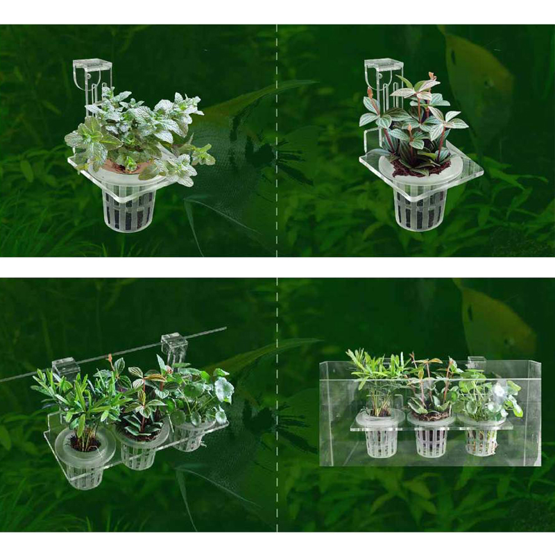 Fish Tank Planting Cups Hydrop - Aquarium Planted Wall บทวิจารณ์และราคา