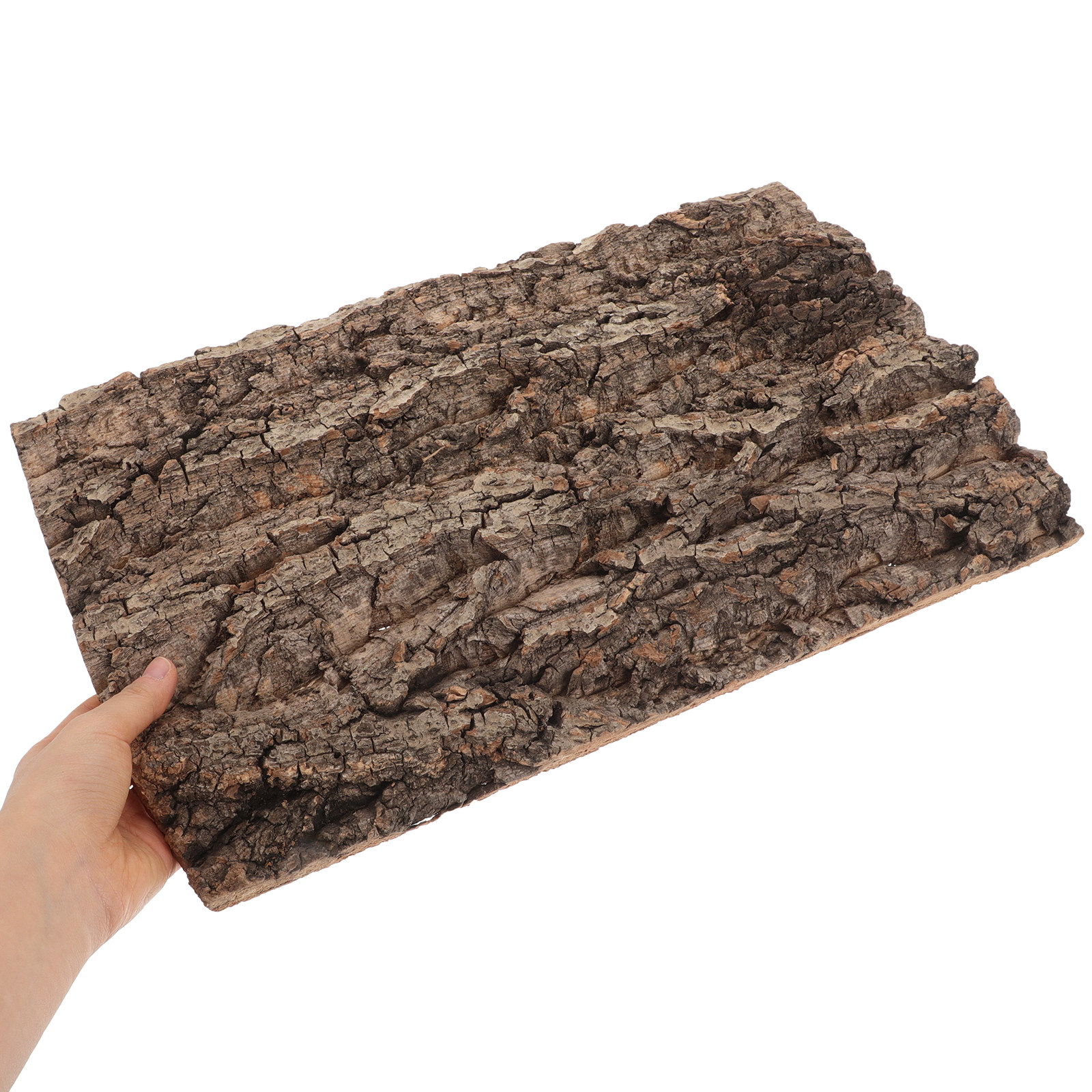 Natural Cork Bark Background B - Aquarium Planted Wall บทวิจารณ์และราคา