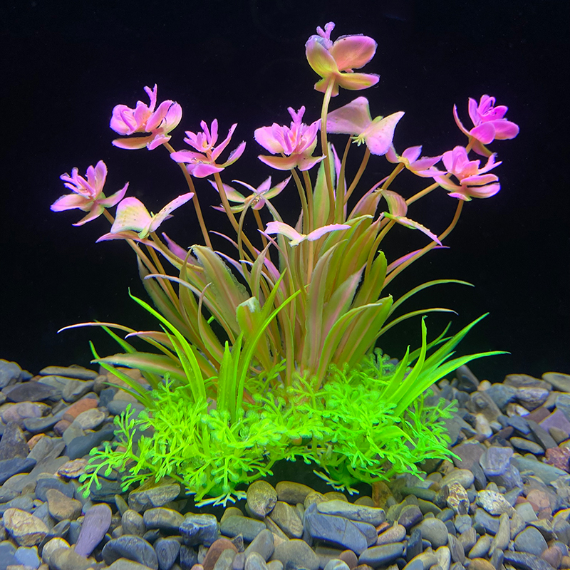1PCS Aquarium Decor Set - Vibr - Planted Aquarium Materials บทวิจารณ์และราคา