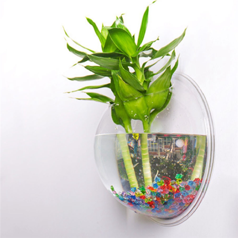 A26F-Transparent Plant Pot Wal - Aquarium Planted Wall บทวิจารณ์และราคา
