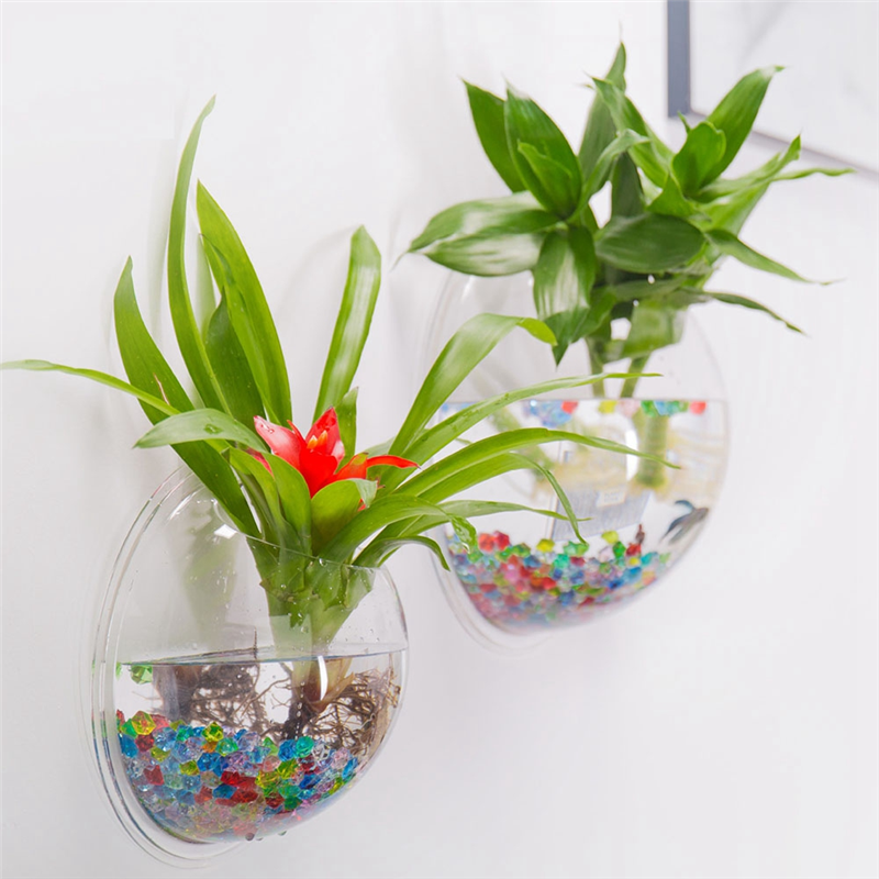 A26F-Transparent Plant Pot Wal - Aquarium Planted Wall บทวิจารณ์และราคา