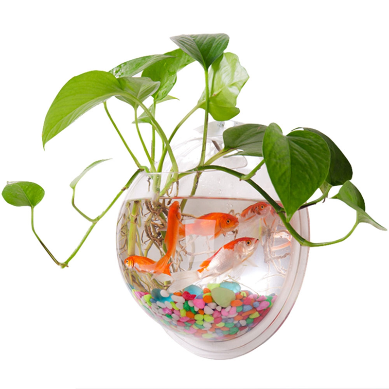 A26F-Transparent Plant Pot Wal - Aquarium Planted Wall บทวิจารณ์และราคา