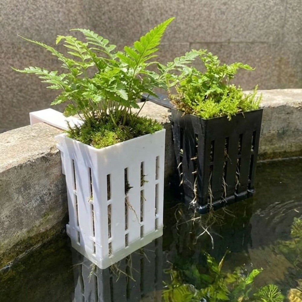 Wall-Mounted Aquarium Plant Ba - Aquarium Planted Wall บทวิจารณ์และราคา