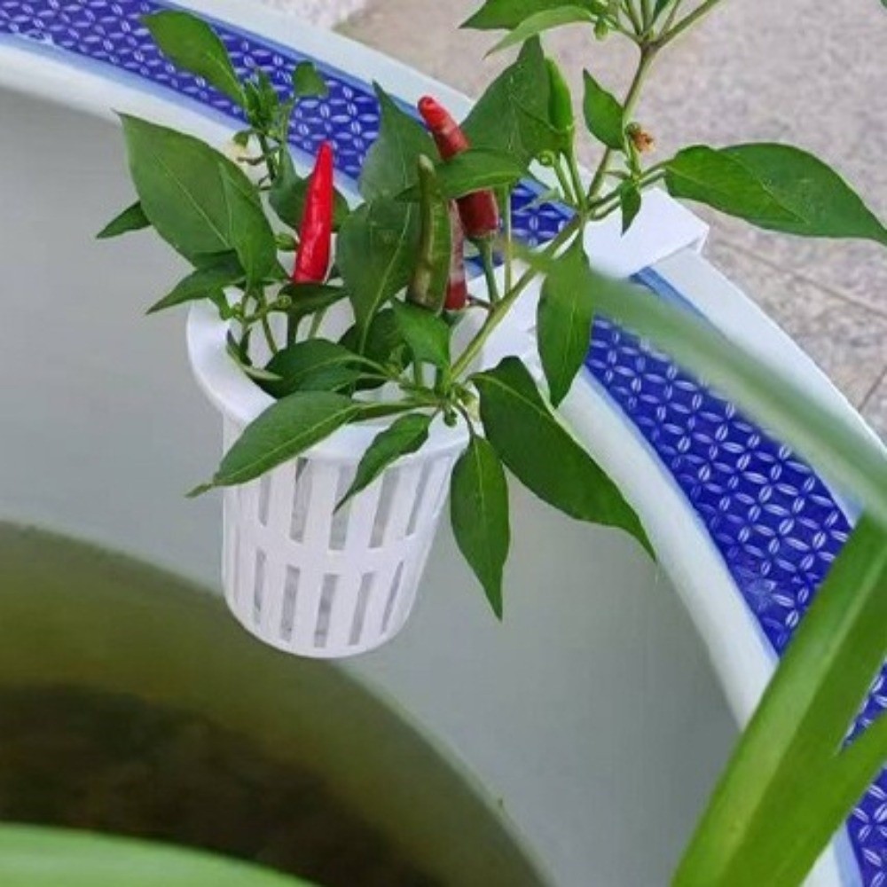 Wall-Mounted Aquarium Plant Ba - Aquarium Planted Wall บทวิจารณ์และราคา