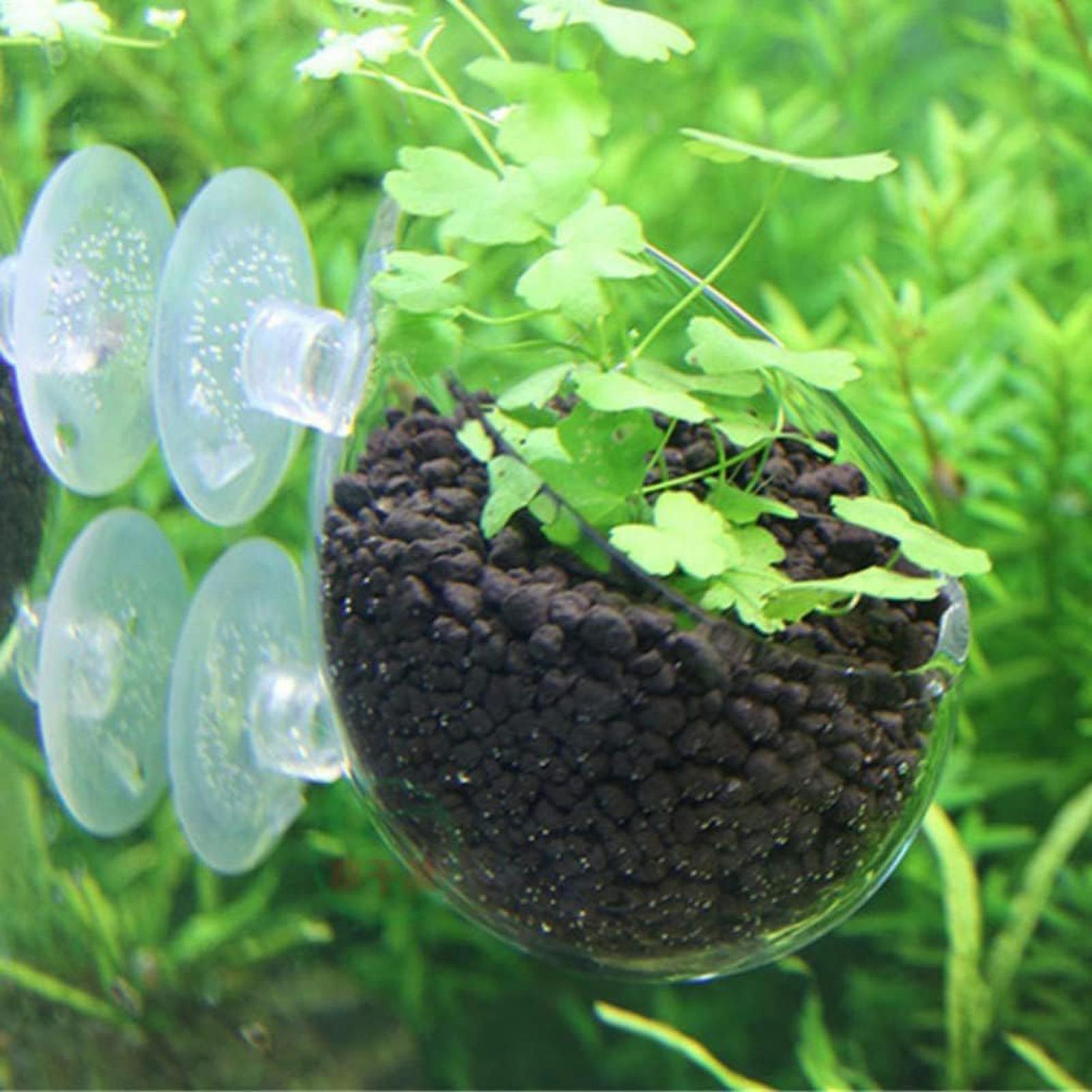 Aquarium Decoration Plant Cup  - Aquarium Plant Nursery บทวิจารณ์และราคา