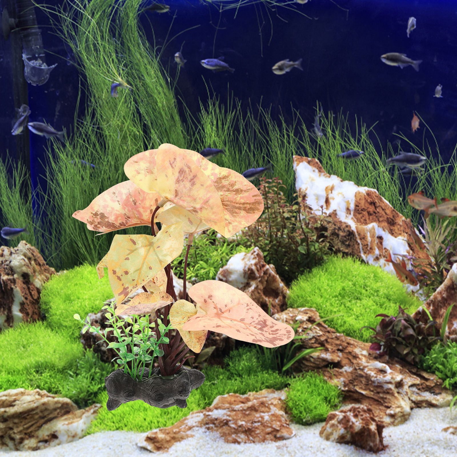 Premium Artificial Fish Tank P - Planted Aquarium Models บทวิจารณ์และราคา