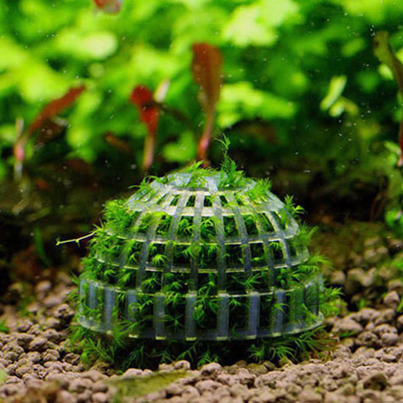 1pc Aquatic Pet Supplies Decor - Planted Aquarium Models บทวิจารณ์และราคา