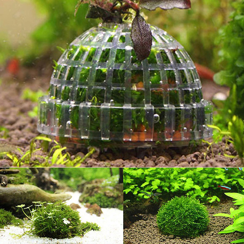 1pc Aquatic Pet Supplies Decor - Planted Aquarium Models บทวิจารณ์และราคา