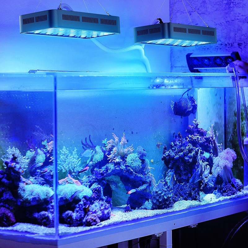 Wifi Control  Coral Reef 165w  - Planted Aquarium Models บทวิจารณ์และราคา