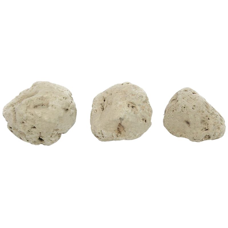 12Pcs Floating Real Rocks Aqua - Planted Aquarium Models บทวิจารณ์และราคา