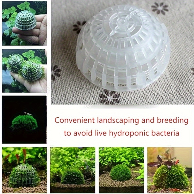 2/4pcs Aquarium Moss Ball Hold - Planted Aquarium Models บทวิจารณ์และราคา