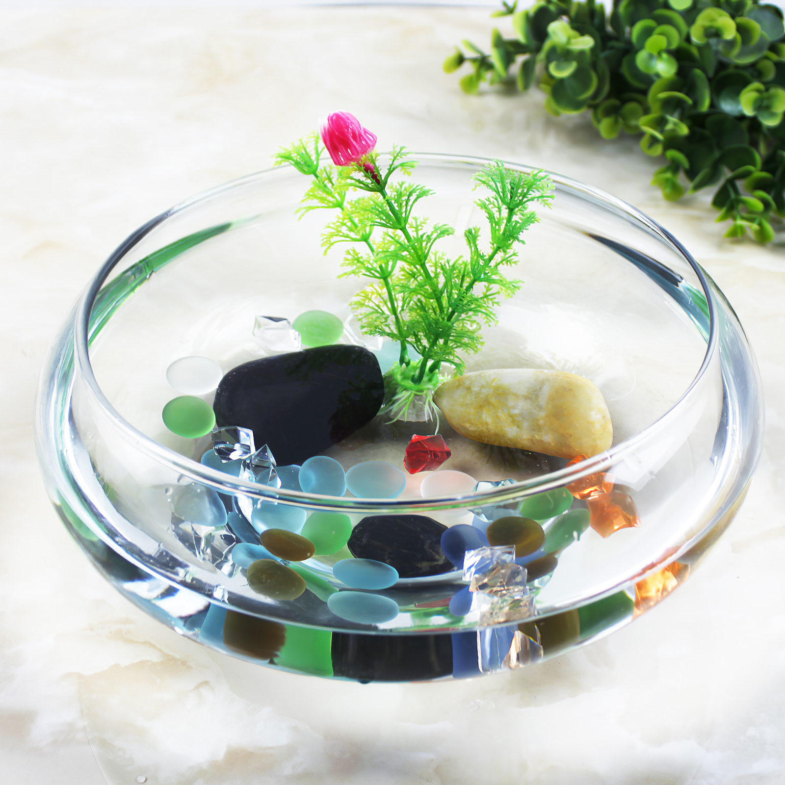 Aquarium Tank 2800ml Fish Tank - Aquarium Plant Nursery บทวิจารณ์และราคา