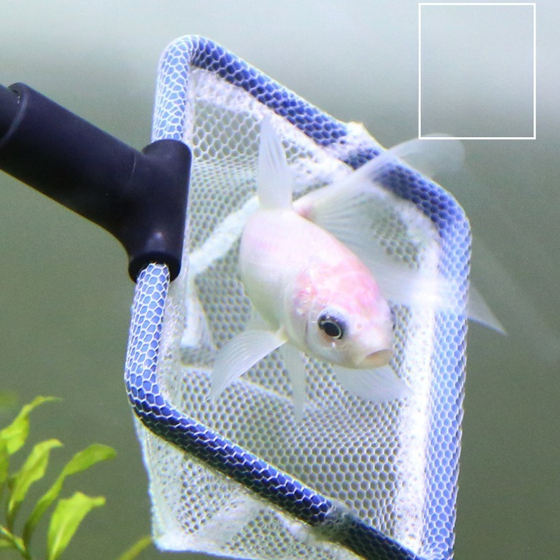 Aquarium Cleaning Tool Set Mul - Planted Aquarium Cleaning Kit บทวิจารณ์และราคา