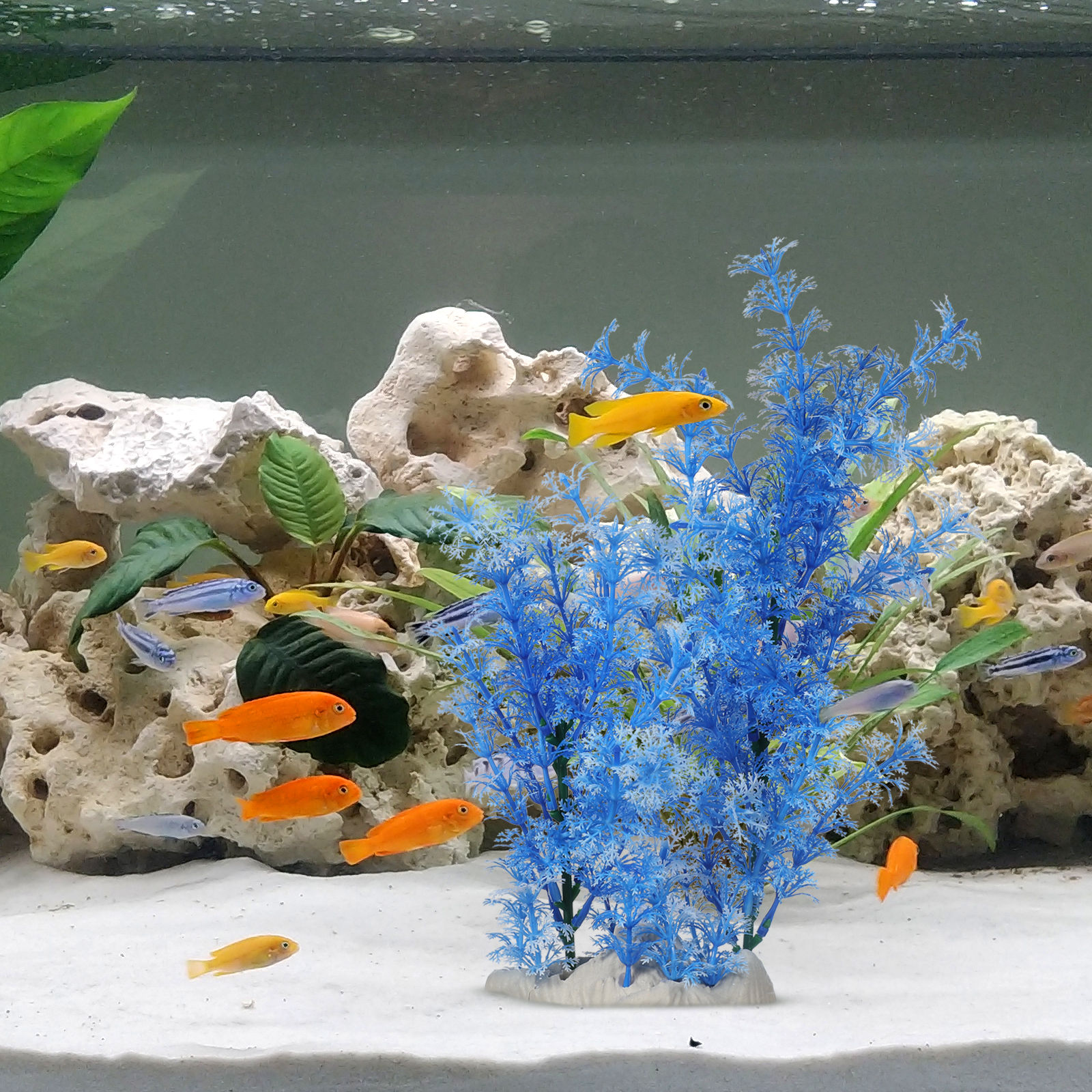 Simulation Water Grass Blue Aq - Planted Aquarium Materials บทวิจารณ์และราคา