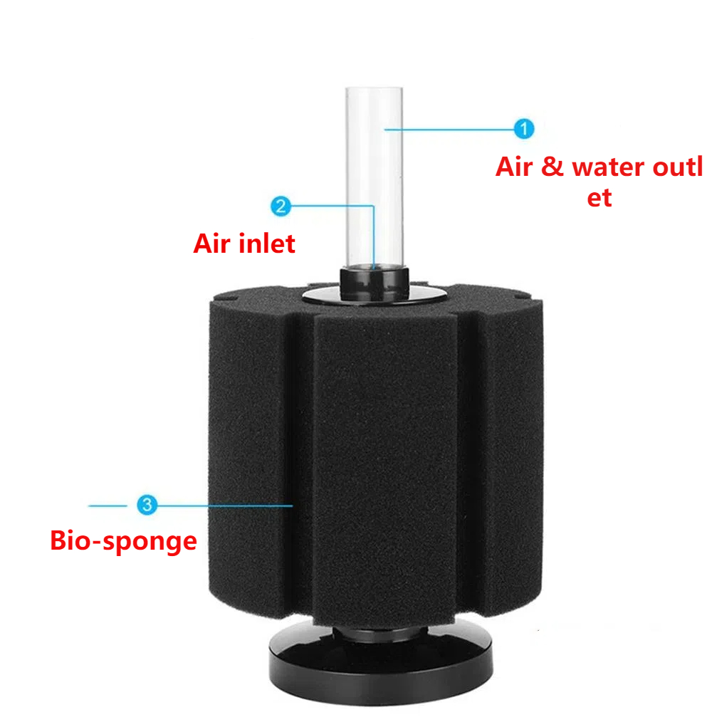 Aquarium Filter Sponge For Fis - Aquarium Planted Filter บทวิจารณ์และราคา