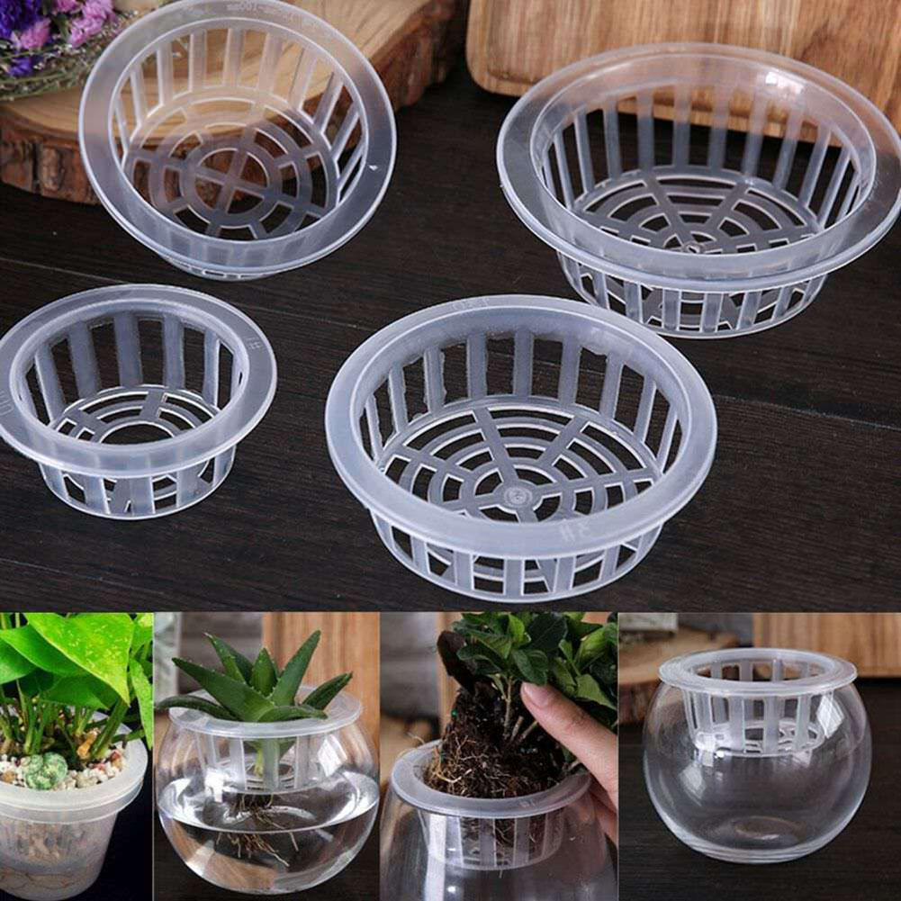 Air Circulation Aquarium Aquat - Aquarium Plant Nursery บทวิจารณ์และราคา