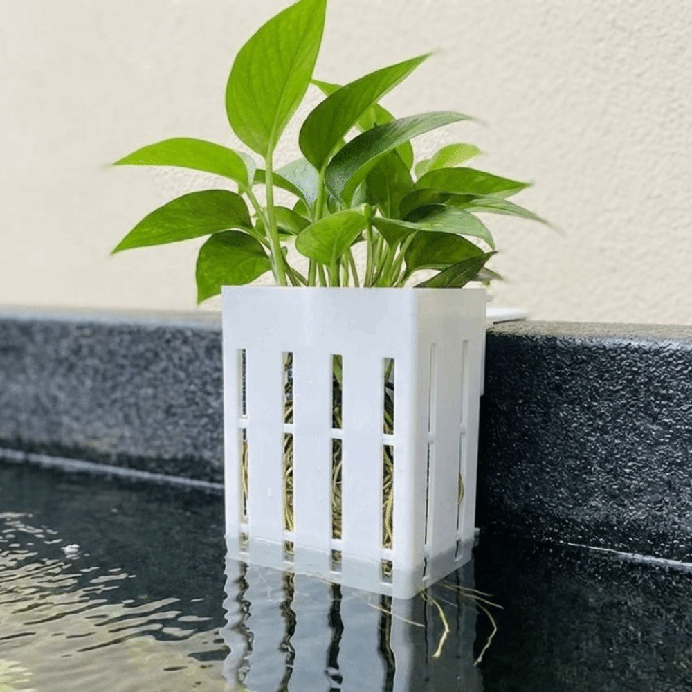 Wall-Mounted Aquarium Plant Ba - Aquarium Planted Wall บทวิจารณ์และราคา