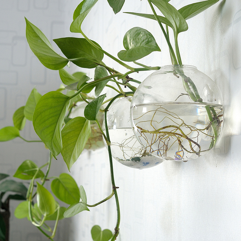 Wall Hanging Acrylic Fish Bowl - Aquarium Planted Wall บทวิจารณ์และราคา