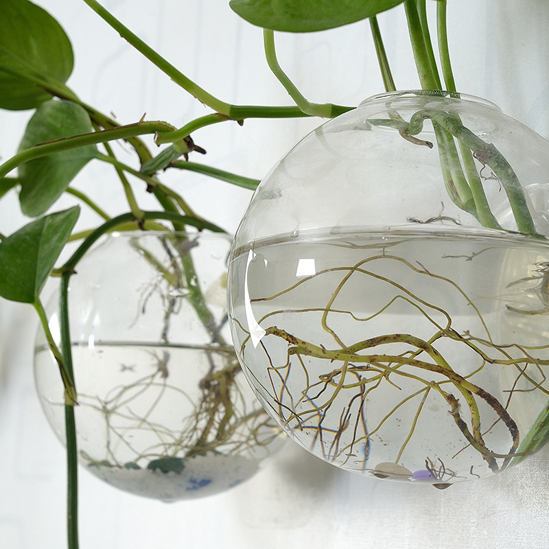 Wall Hanging Acrylic Fish Bowl - Aquarium Planted Wall บทวิจารณ์และราคา