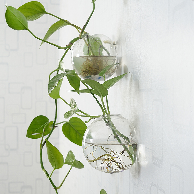 Wall Hanging Acrylic Fish Bowl - Aquarium Planted Wall บทวิจารณ์และราคา