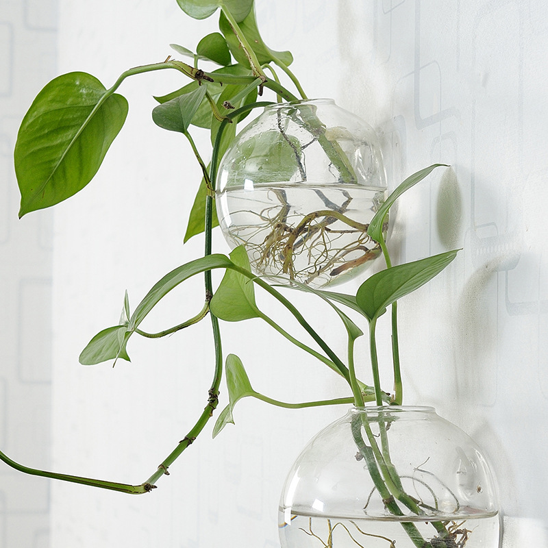 Wall Hanging Acrylic Fish Bowl - Aquarium Planted Wall บทวิจารณ์และราคา