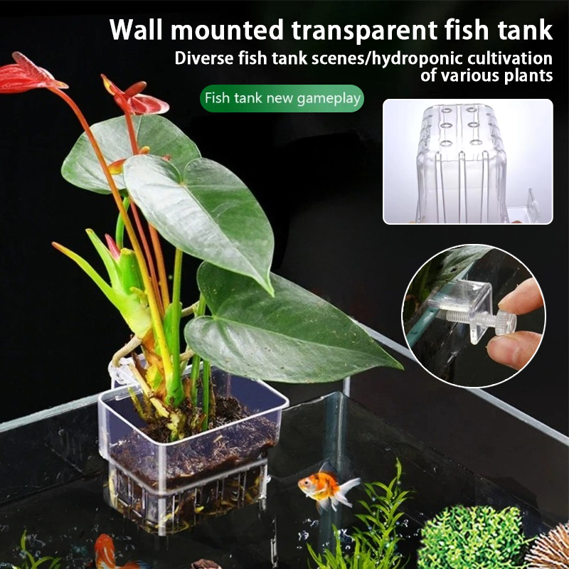 Aquarium Hanging Planter Cups  - Aquarium Planted Wall บทวิจารณ์และราคา