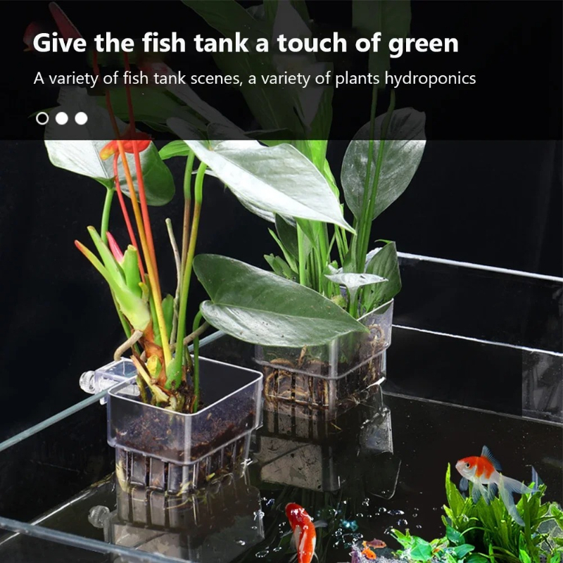 Aquarium Hanging Planter Cups  - Aquarium Planted Wall บทวิจารณ์และราคา